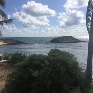 Meet your Posher, Terri